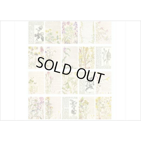 画像11: ヴィンテージ風ペーパーセット＊春の日記＊60枚＊海外製 (11)