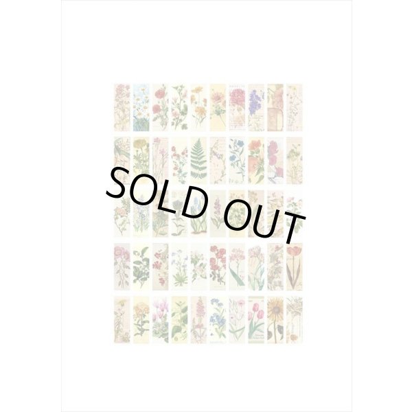 画像12: 全部柄違いのミニシール💓フラワー＊和紙シール＊50枚＊＊海外製 (12)