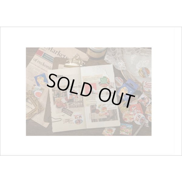 画像9: アメリカン♪柄違い45枚＊光沢シール＊箱入り＊海外製 (9)