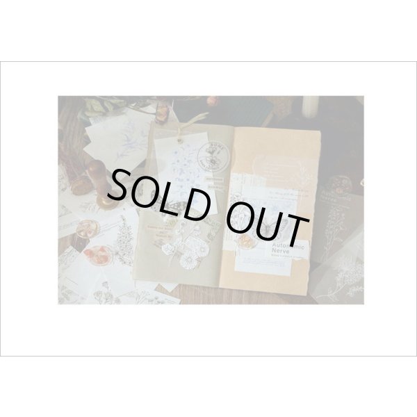 画像10: トレペ入り♪3種のペーパーメモ＊ピンク・ヴィクトリア風＊30枚＊海外製 (10)