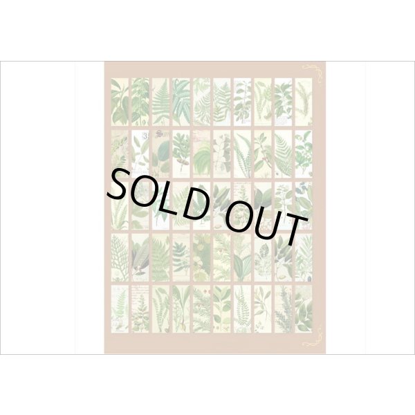 画像10: 全部柄違いのミニシール💓葉っぱ＊和紙シール＊50枚＊海外製 (10)