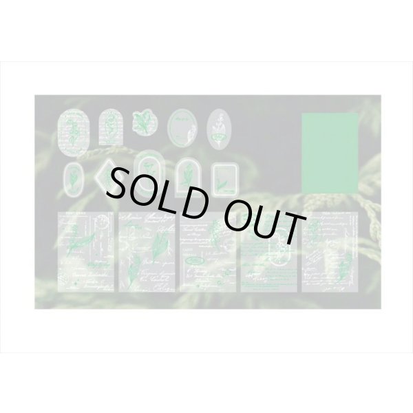 画像8: エンボス箔押し💓グリーン＊トレペのプチギフト＊15枚＊海外製 (8)