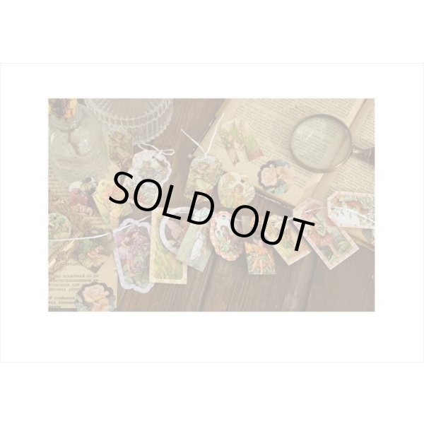 画像10: ドライフラワーを添えて🌸花の妖精*タグ&和紙シール*30 点セット*海外製 (10)