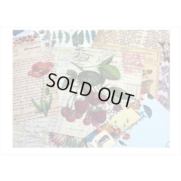 画像11: 植物と蝶々＊いろいろ100点セット💓＊海外製 (11)