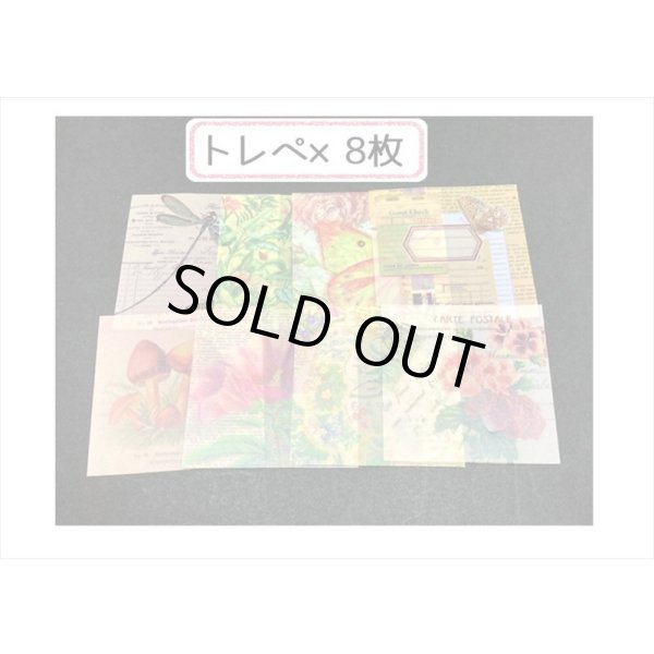 画像6: 植物と蝶々＊いろいろ100点セット💓＊海外製 (6)