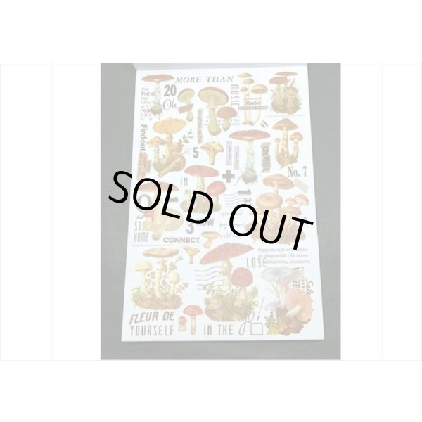 画像16: 50シート❕大きな和紙シール帳＊シューベルト＊海外製 (16)