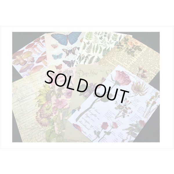 画像3: 植物と蝶々＊いろいろ100点セット💓＊海外製 (3)