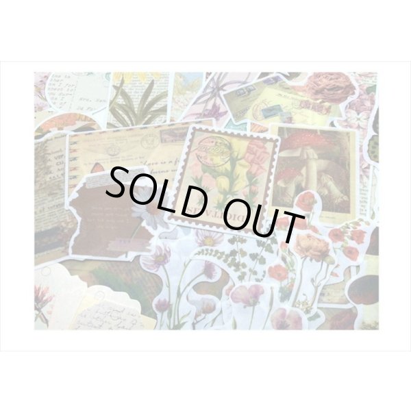 画像10: 植物と蝶々＊いろいろ100点セット💓＊海外製 (10)