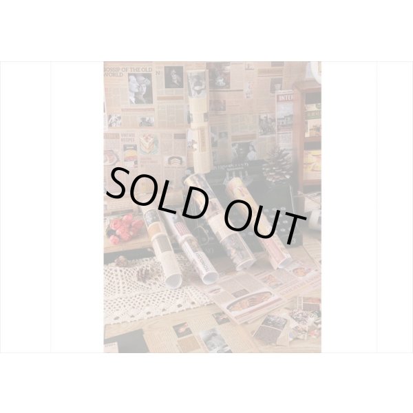 画像13: A5サイズのペーパーセット＊レトロアイテム＊ペーパーとシール＊12枚＊海外製 (13)