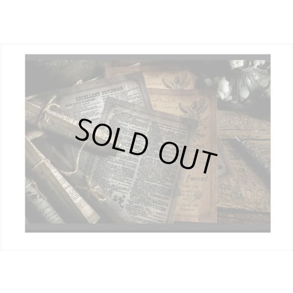 画像14: 2種のアンティークなペーパーセット＊植物＊30枚＊海外製 (14)