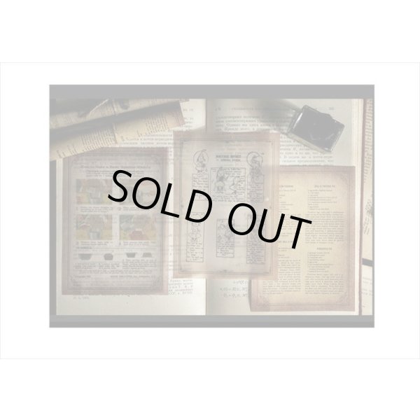 画像11: 2種のアンティークなペーパーセット＊植物＊30枚＊海外製 (11)