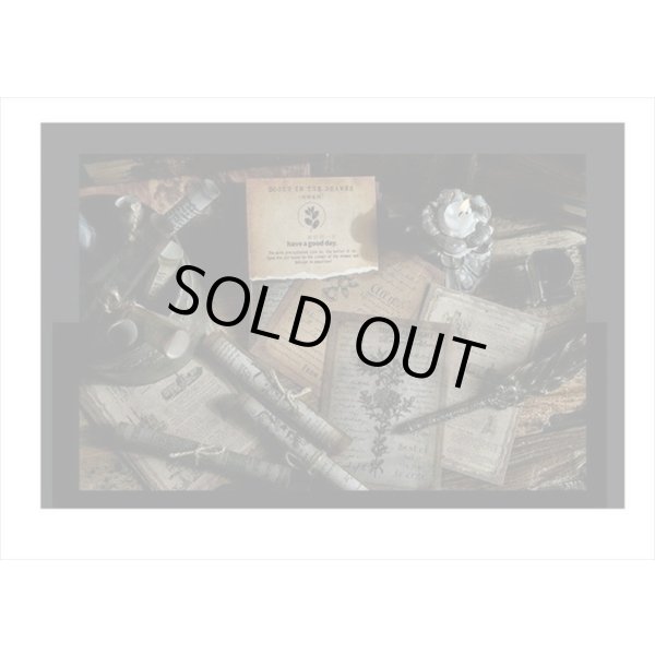 画像12: 2種のアンティークなペーパーセット＊植物＊30枚＊海外製 (12)