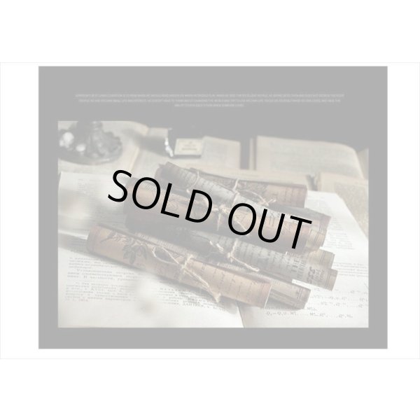 画像16: 2種のアンティークなペーパーセット＊植物＊30枚＊海外製 (16)