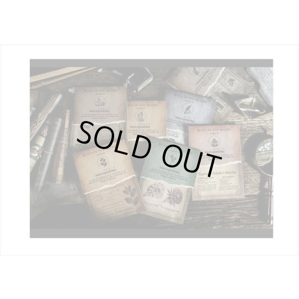 画像19: 2種のアンティークなペーパーセット＊植物＊30枚＊海外製 (19)