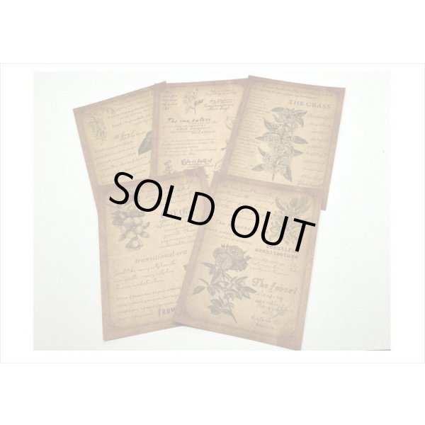 画像6: 2種のアンティークなペーパーセット＊植物＊30枚＊海外製 (6)