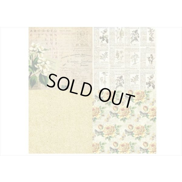 画像3: 紙モノ好きにはたまらない＊Fragrant＊パターンペーパー＊24枚＊海外製 (3)