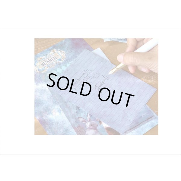 画像10: 総柄♪エンベロープセット＊ローズプリンセス＊3サイズ＊海外製 (10)