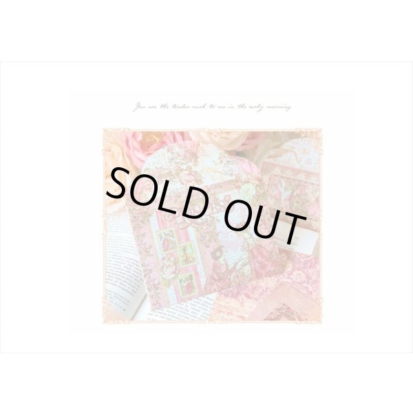 画像6: 総柄♪エンベロープセット＊ローズプリンセス＊3サイズ＊海外製 (6)