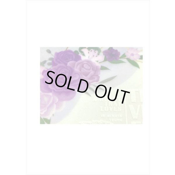 画像7: トレペセット♪祝福＊15枚入り＊海外製 (7)