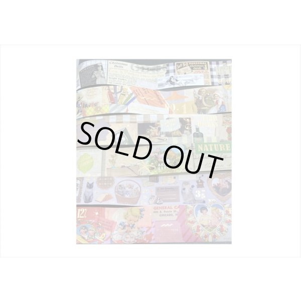 画像10: ぐうたらネコ＊箔押し＊和紙テープ＊はく離式＊海外マステ＊クリックポスト不可 (10)