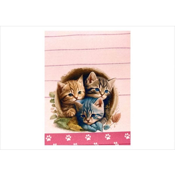 画像3: 特別価格♪ネコちゃん倶楽部＊なかよし＊2色のメモ帳＊60枚＊オリジナル (3)