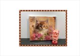 画像: フラワーキャット＊正方形＊ペーパーセット＊柄違い40枚＊オリジナル