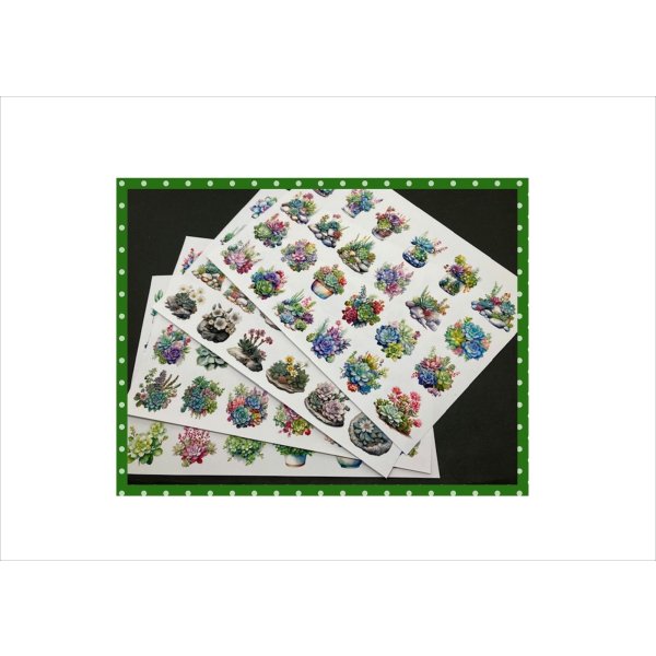 画像11: パーツ＊多肉植物＊コラージュペーパー＊柄違い＊4枚＊オリジナル (11)