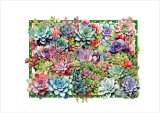 画像: パーツ＊多肉植物＊コラージュペーパー＊柄違い＊4枚＊オリジナル